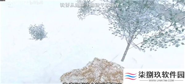 逃离家暴