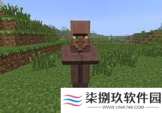 我的世界烦人的村民6.0