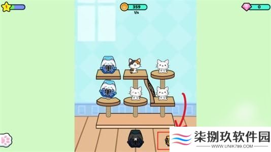 快乐撸猫