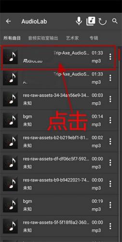 Audiolab专业版