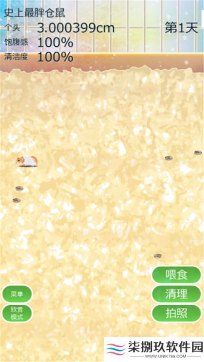 治愈仓鼠养成