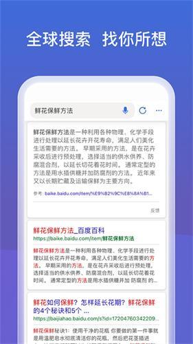 必应国际版