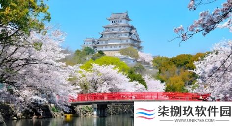 英雄联盟职业战队训练揭秘~日常背后的辛勤付出