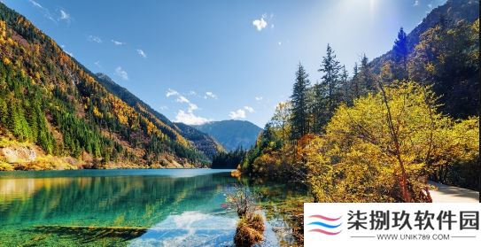2025年5月4日英雄联盟手游新英雄表现分析~首日数据揭秘